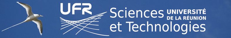 Bandeau de la Faculté des Sciences et Technologies