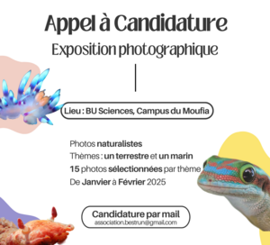 Appel à candidature